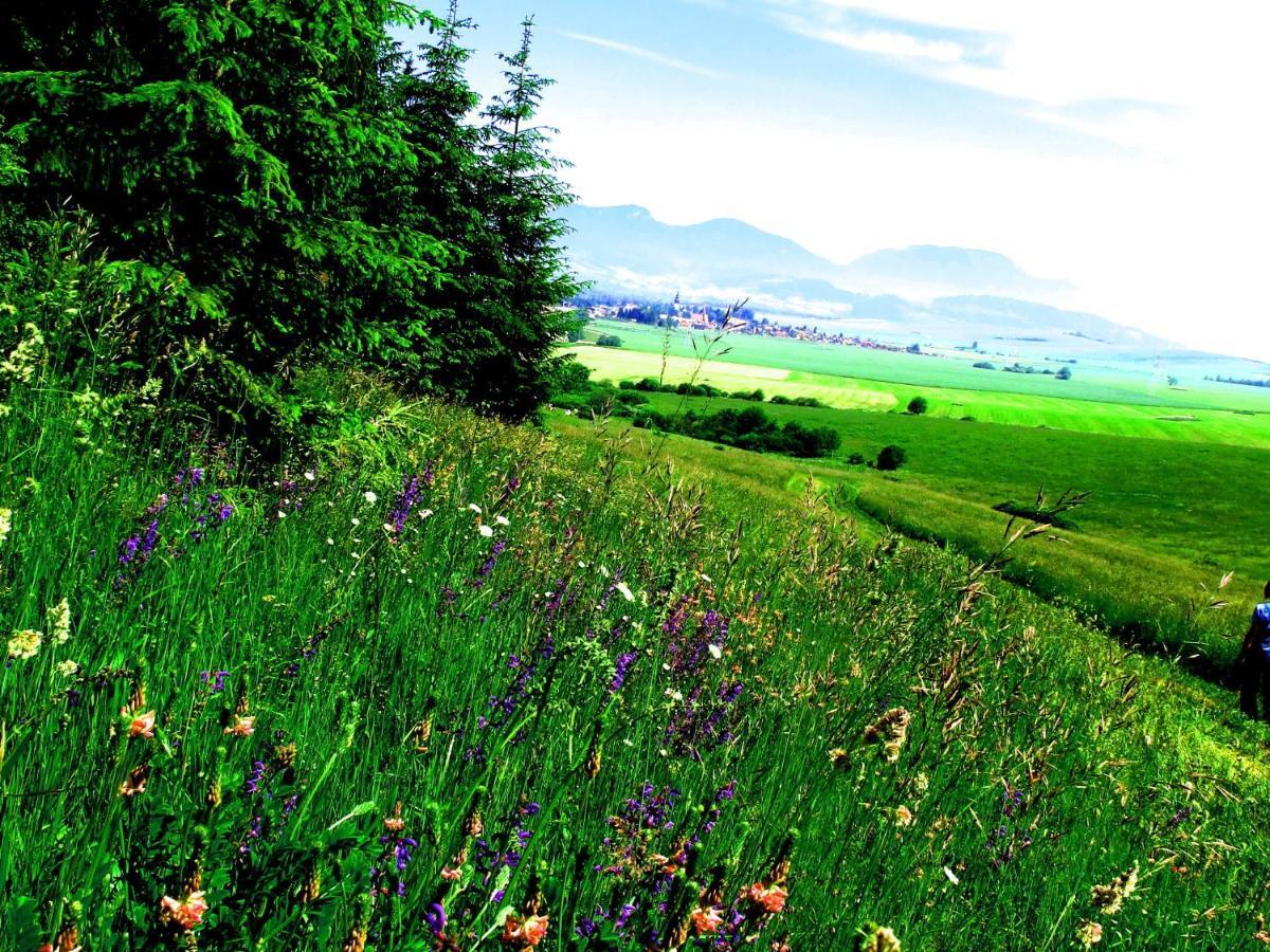 Villa Lypche Bešeňová Szoba fotó